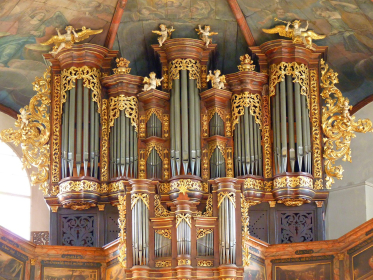 Bild Orgel