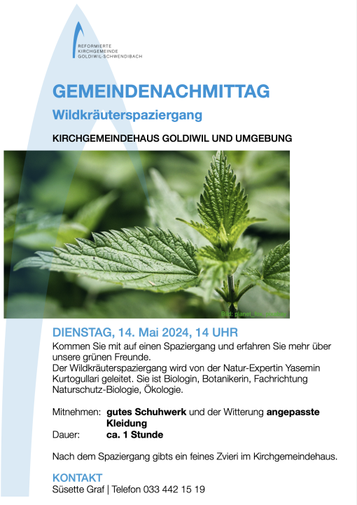 Gemeindenachmittag Mai